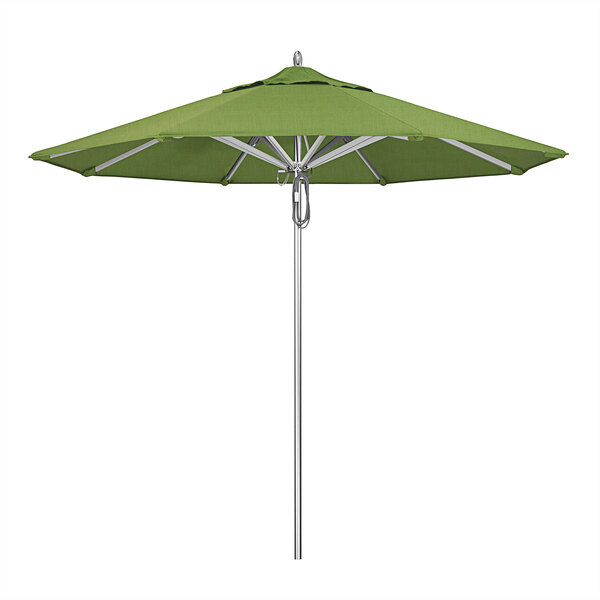 A California Umbrella with a Spectrum Cilantro green canopy on a metal pole.
