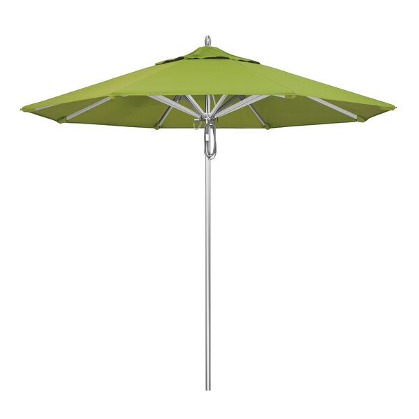 A green California Umbrella on a metal pole with a Sunbrella Macaw canopy.