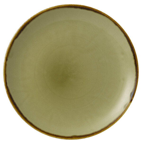 A close-up of a green Dudson Harvest china plate with a brown rim.