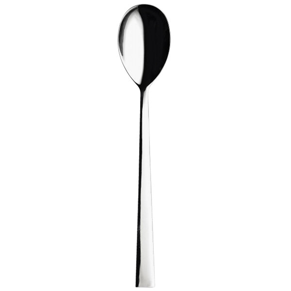 A Sola stainless steel salad spoon with a long handle.