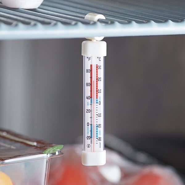 A Taylor refrigerator/freezer thermometer hanging from a shelf.