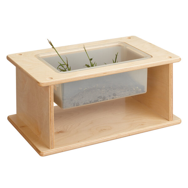 A Jonti-Craft Baltic Birch wooden box with a plant inside.