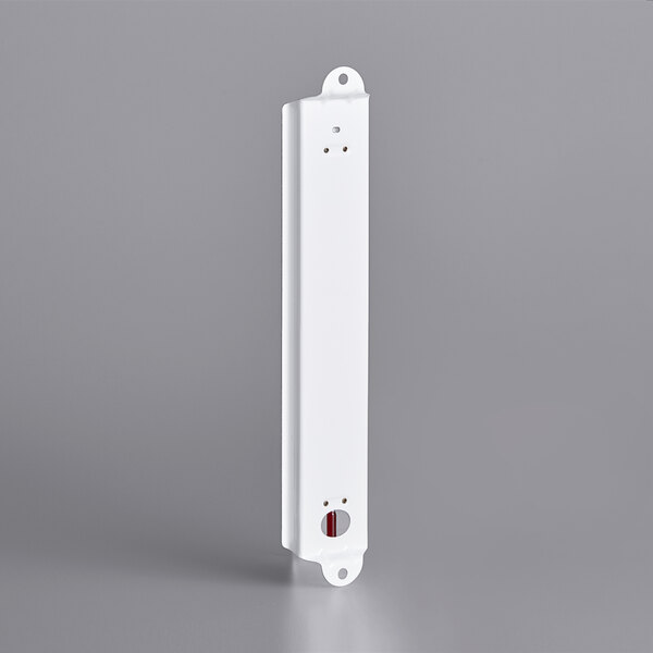 Taylor 1106J 12" Cold / Dry Storage Wall Thermometer