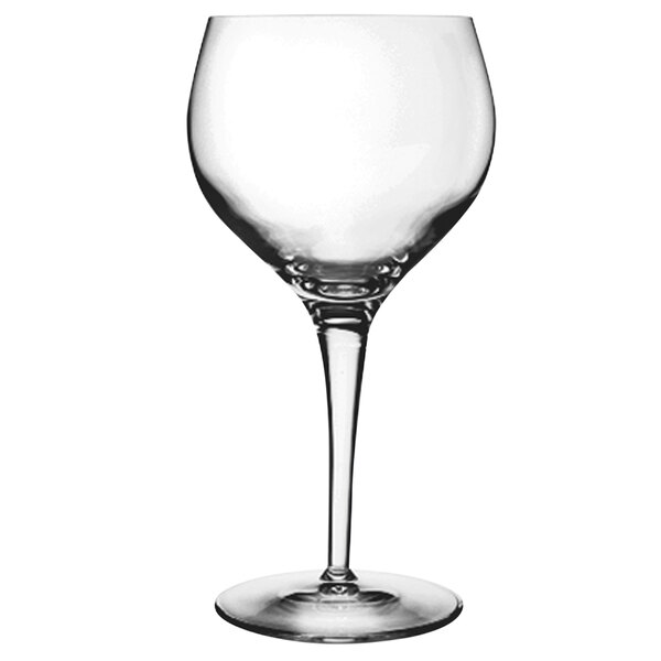 A close-up of a Luigi Bormioli Michelangelo wine glass with a clear stem and base.