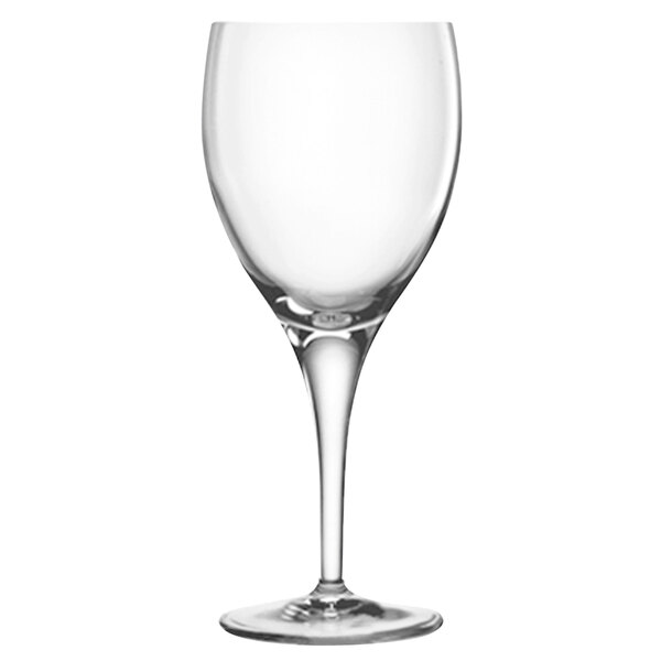 A close-up of a Luigi Bormioli Michelangelo burgundy wine glass with a long stem.