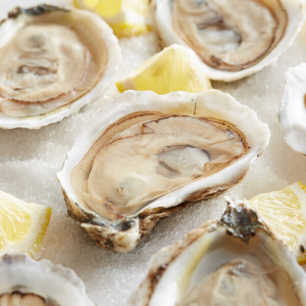 A group of Rappahannock Oysters on ice with lemon slices.