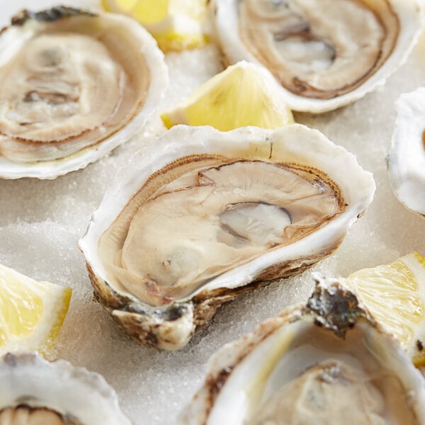 A group of Rappahannock Oysters on a white surface with lemon slices.