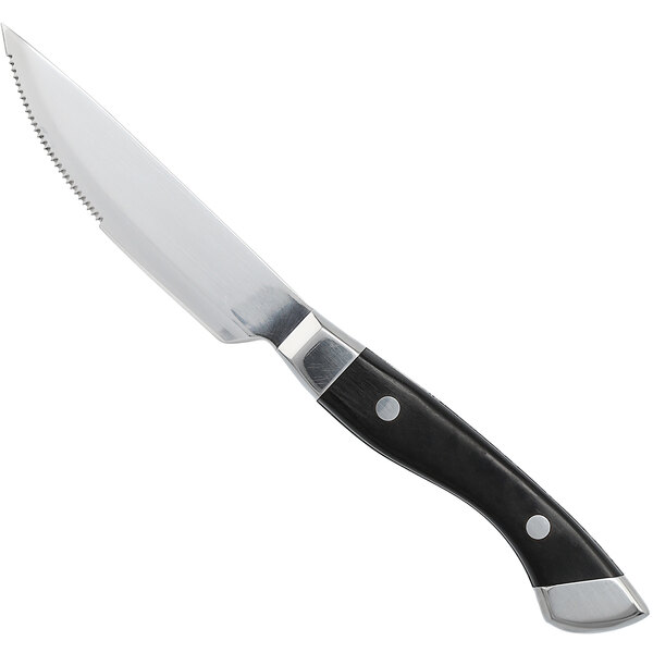 Fortessa 1.5.STK.00.252 Provencal 10" 1/4" Serrated Edge Steak Knife