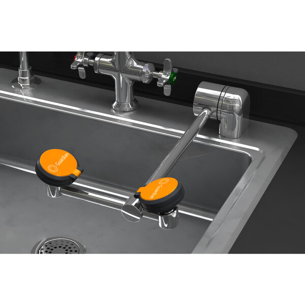 Guardian Equipment G1779 AutoFlow Deck Mounted Eye and Face Wash