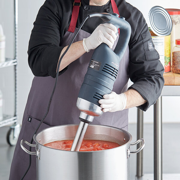 hand blender heavy duty