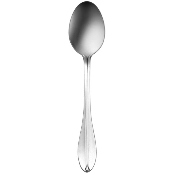 A silver Delco Rhodes 18/0 stainless steel dessert spoon with a handle.
