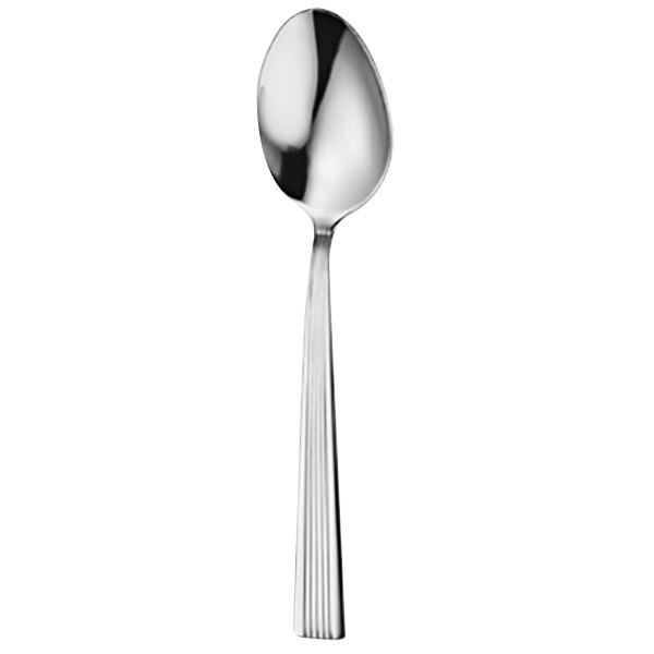 A Delco Brayleen stainless steel teaspoon with a long handle and silver finish.