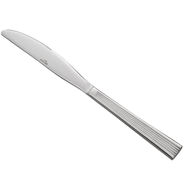 A Delco Brayleen stainless steel dinner knife with a silver handle.