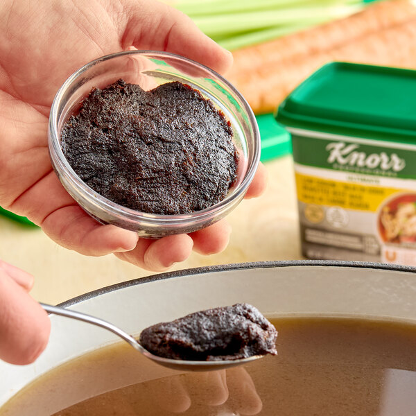 Knorr Low Sodium Beef Bouillon Base - 1 lb. Container
