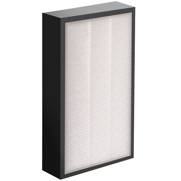 The black rectangular box for AeraMax Pro AM II HEPA air filters with white filters inside.
