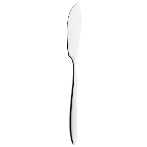 A Hepp by Bauscher stainless steel fish knife with a long handle.