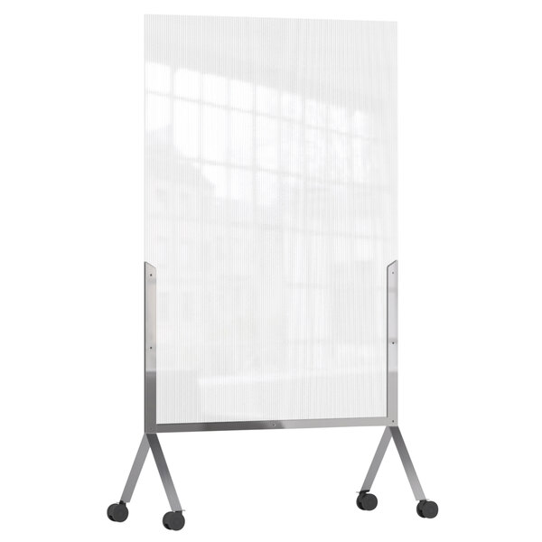 Rosseto RD001 Clear Room Divider 48" x 72"