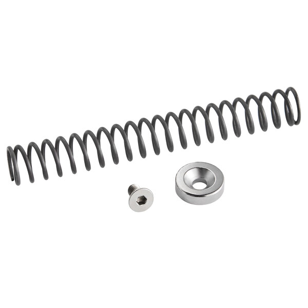 A metal spring and a screw for a Garde MCJ2 juicer.