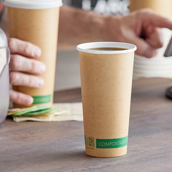 Eco-Friendly Paper Cups with Lids, Straws & Stands - 12oz Cups