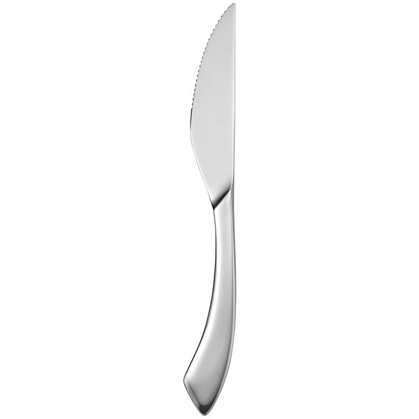 A close up of a Sant'Andrea Reflections stainless steel steak knife with a silver handle.