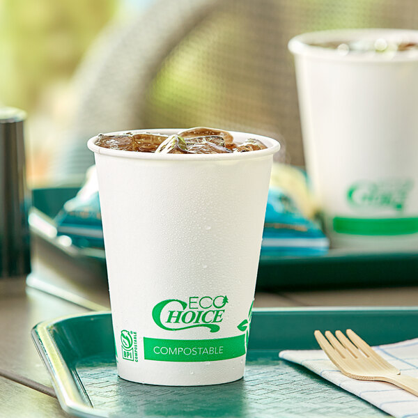 A close-up of two EcoChoice Compostable PLA Paper Cold Cups with straws on a white background.