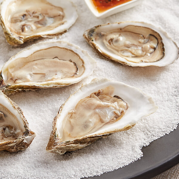 A plate of Wulf's Fish Dennis Port Select Oysters on the half shell with dipping sauce.