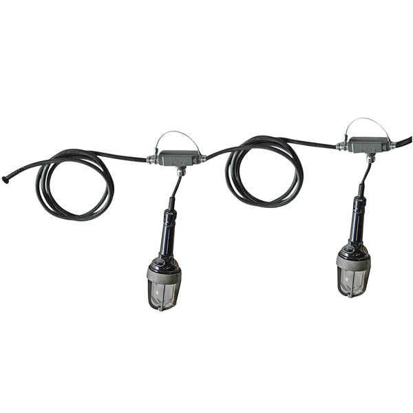 A Lind Equipment hazardous location string light with a wire and LED bulbs.
