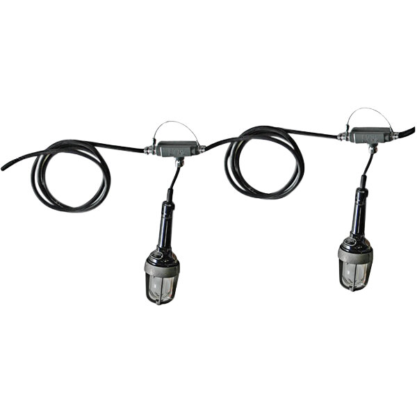 A Lind Equipment hazardous location string light with two attached lamps.