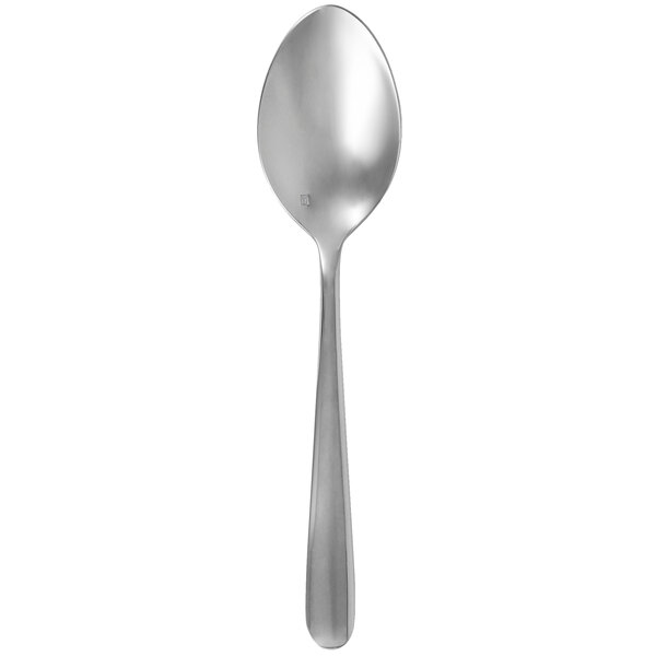 A Walco Vacanza stainless steel serving spoon with a silver handle.