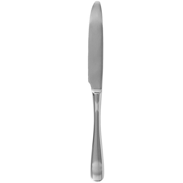 A Walco Vacanza stainless steel dinner knife with a silver finish.