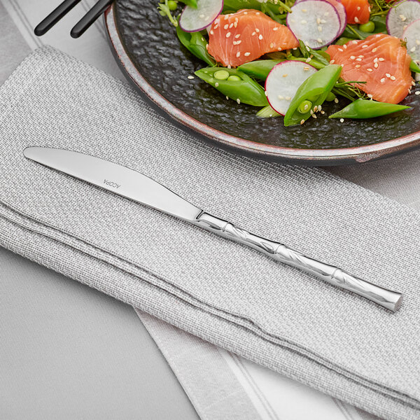 An Acopa Heika stainless steel dinner knife on a plate of food with a fork