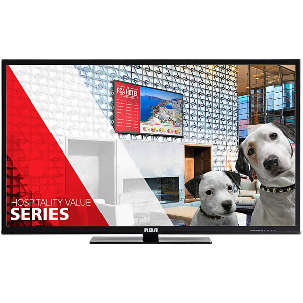 An RCA 49" LED television screen showing two dogs.