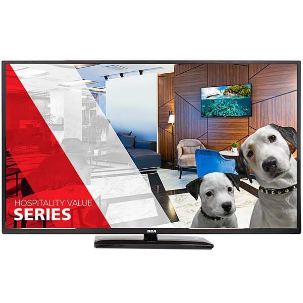 An RCA J55BE1220 BE Series 55" LED Hospitality HD Television screen showing two dogs.