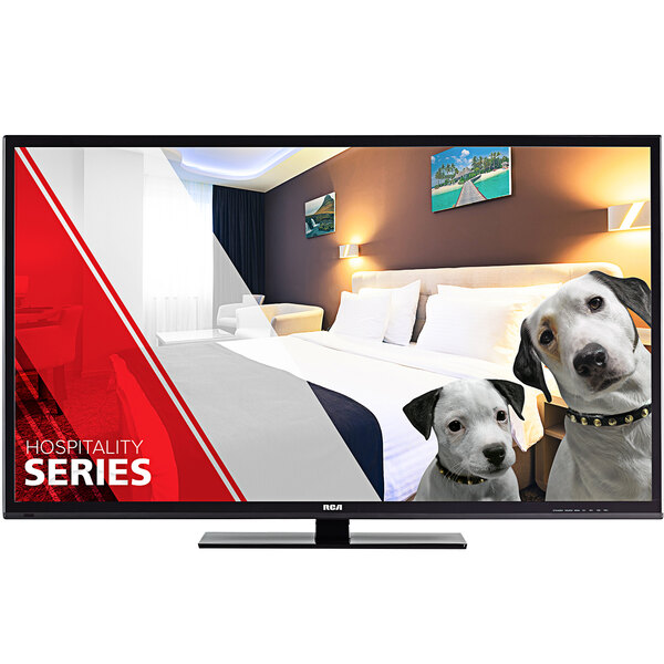 The screen of an RCA LV Series Pro:Idiom Hospitality Television showing a dog on a bed.