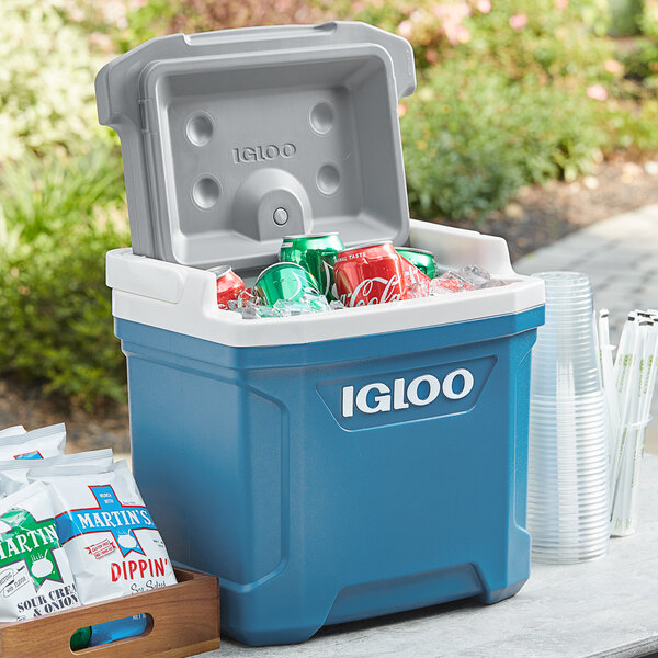 An indigo blue Igloo Latitude cooler with drinks and snacks inside.