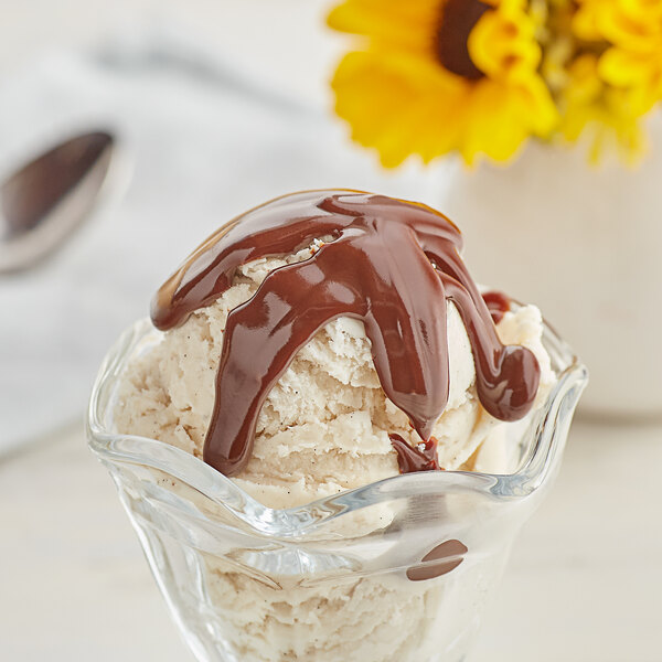 A scoop of ice cream in a bowl with J. Hungerford Smith Milk Chocolate Fudge Topping.