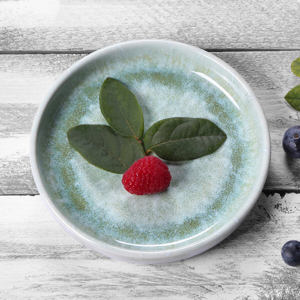 An Elite Global Solutions Monet sea moss melamine plate with a raspberry and leaves on it.