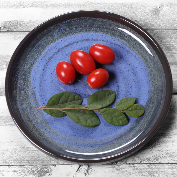 A cobalt melamine plate with a raised rim and tomatoes and leaves on it.