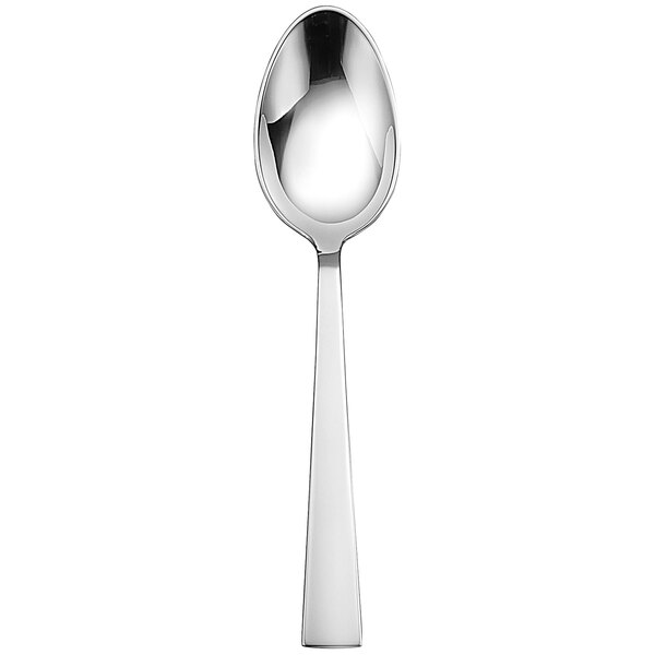A Sant'Andrea Fulcrum stainless steel serving spoon with a white background.
