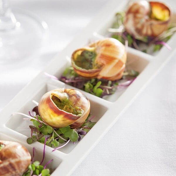 A white plate with four White Toque escargot in shells on it.