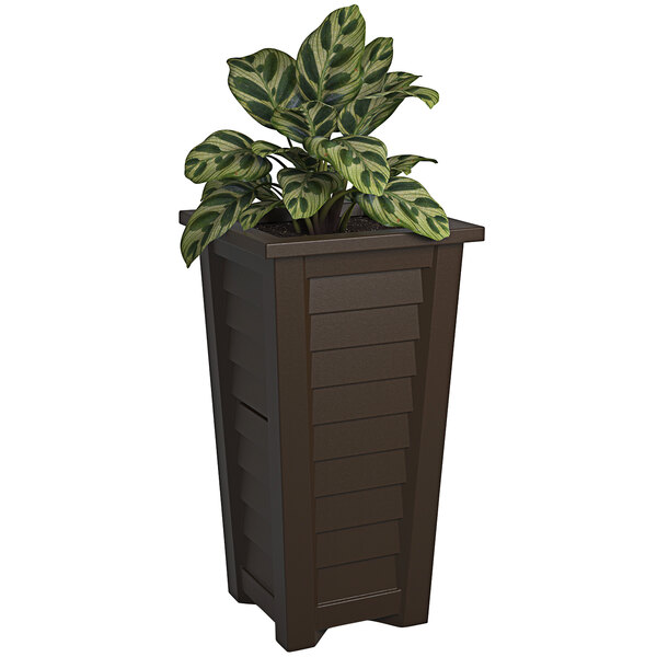 Fioriera MAYNE Fairfield In Resina Legno Espresso – Con Serbatoio D'Acqua – Resistente UV 4 Stagioni
