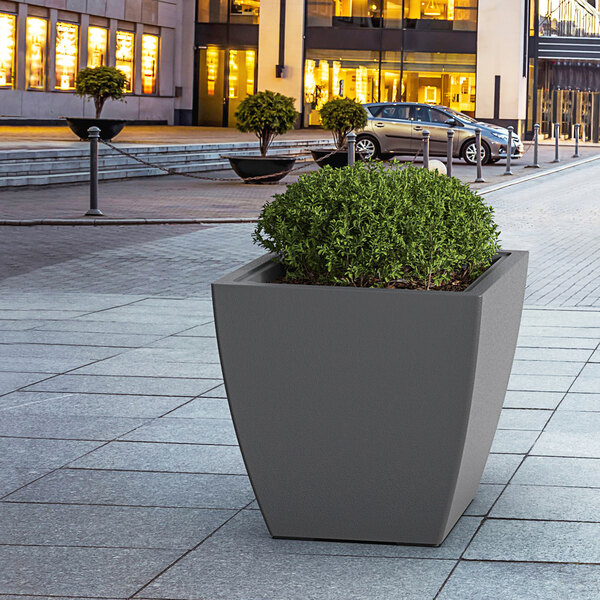A Mayne graphite grey planter on a sidewalk with a bush in it.