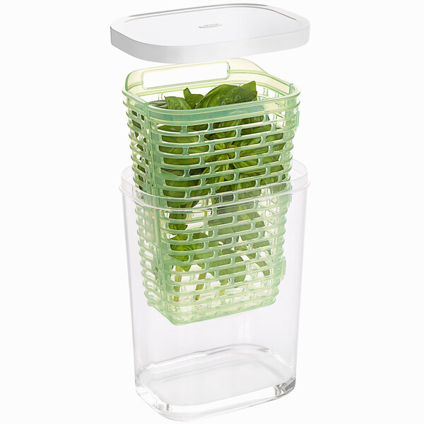 OXO GreenSaver Large Clear Rectangular Polypropylene Herb Keeper