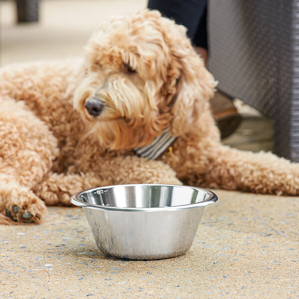 1.5 Qt. Heavy-Duty Stainless Steel Dog Bowl
