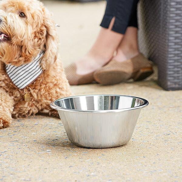 3 Qt. Heavy-Duty Stainless Steel Dog Bowl