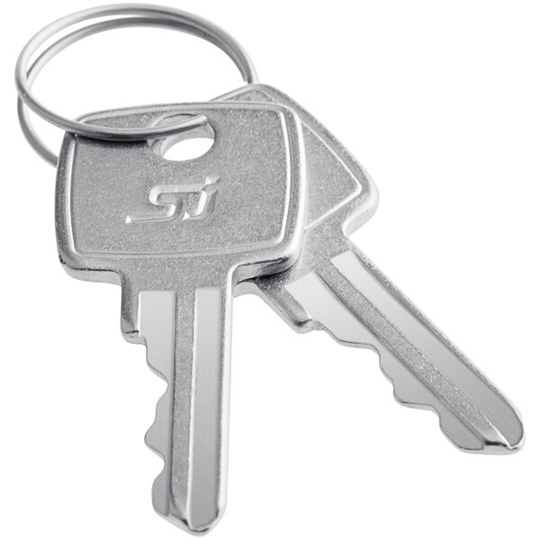 A set of Steelton replacement keys on a ring.