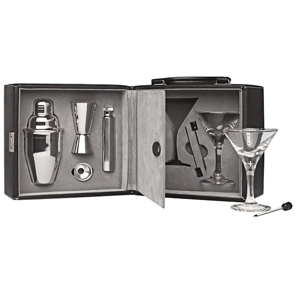 A Franmara 9-piece martini kit in a case on a counter with a cocktail shaker and martini glass.
