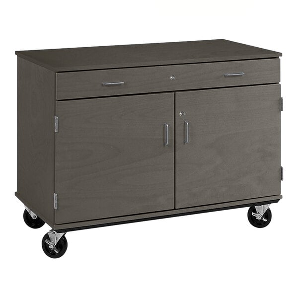 A grey cabinet on wheels with two doors.