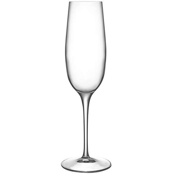 A Luigi Bormioli Palace clear wine glass with a stem.