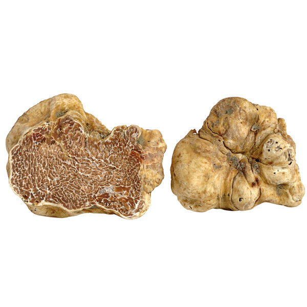 Two white Urbani Fresh White Alba truffles on a white background.